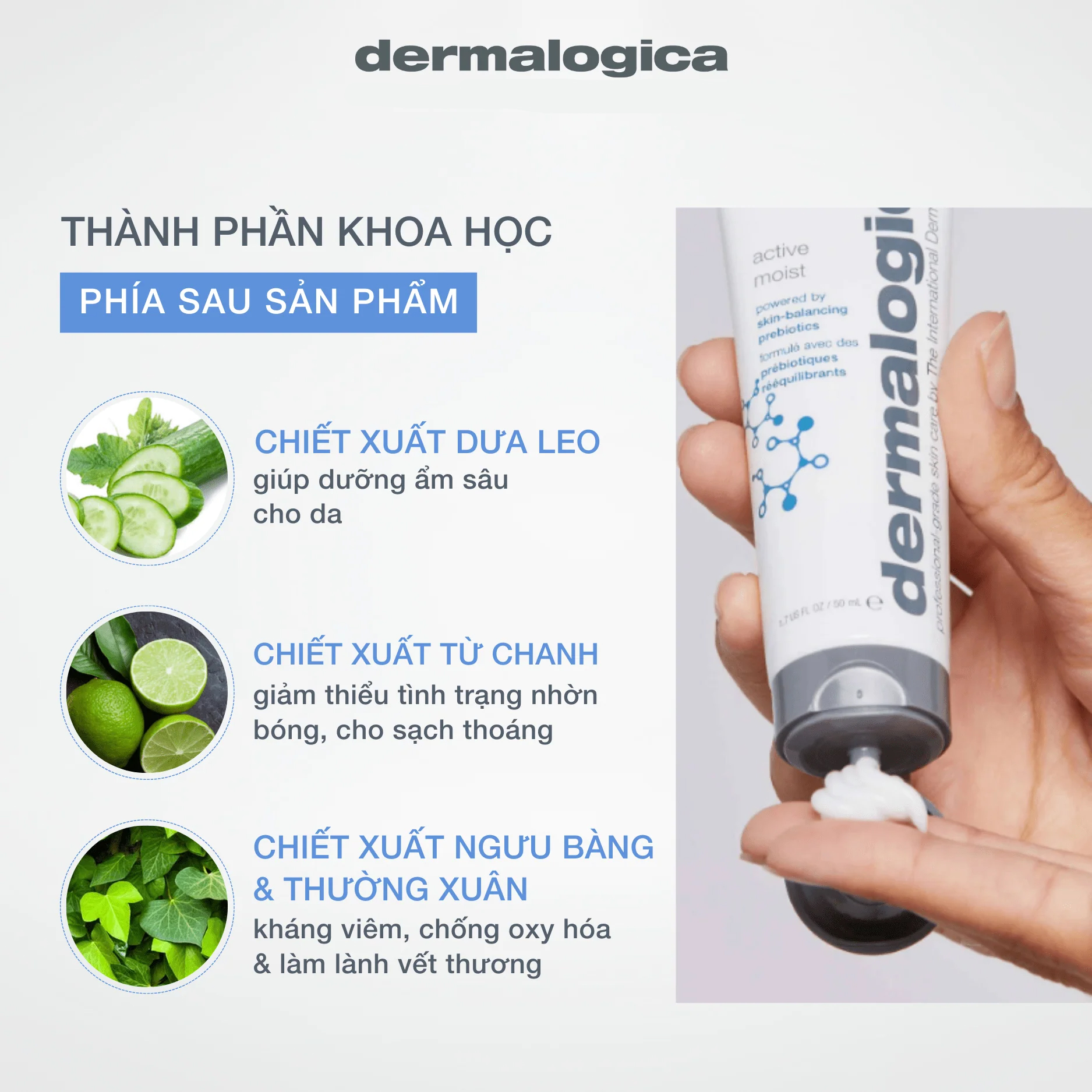 Tác dụng của kem Dermalogica như thế nào? Tác dụng của kem Dermalogica như thế nào?