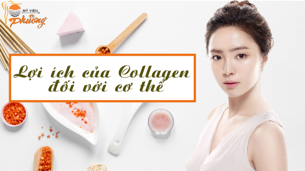 Collagen và lợi ích của nó đối với cơ thể.